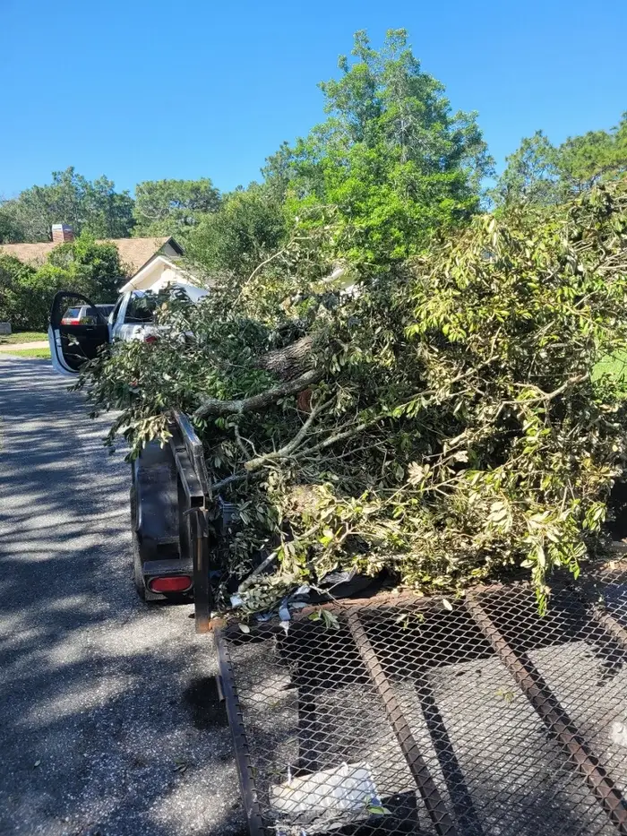 Yard Waste Removal work in Homosassa Springs, Citrus County, FL