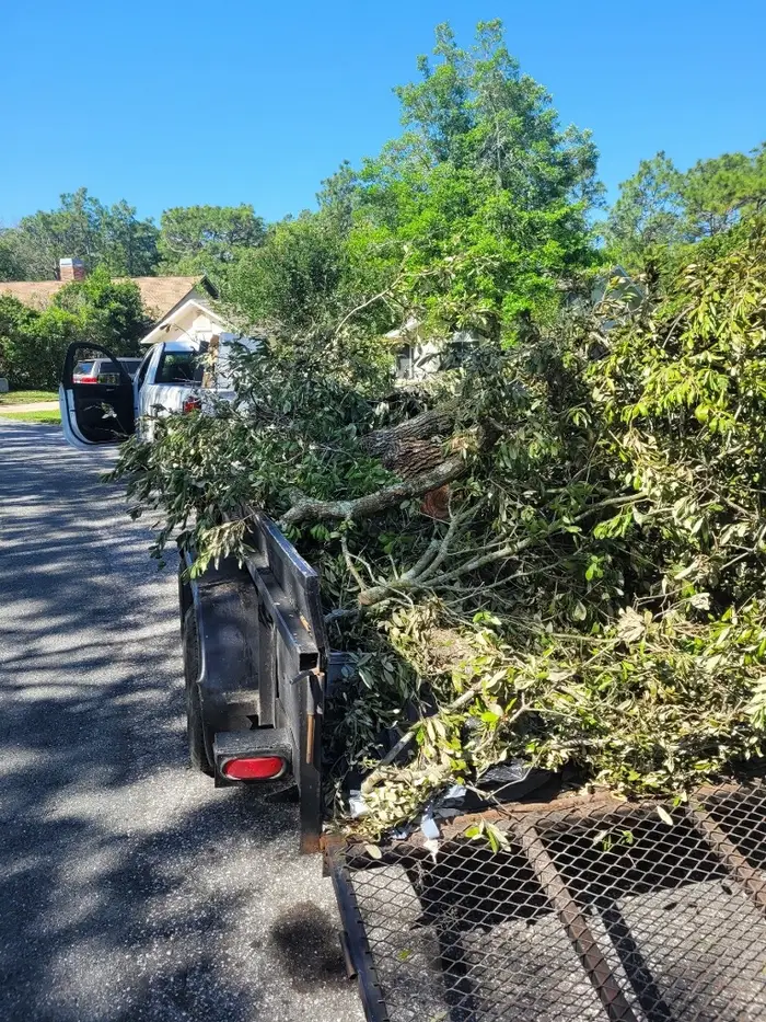 Residential demolition with heavy equipment in Citrus County, FL